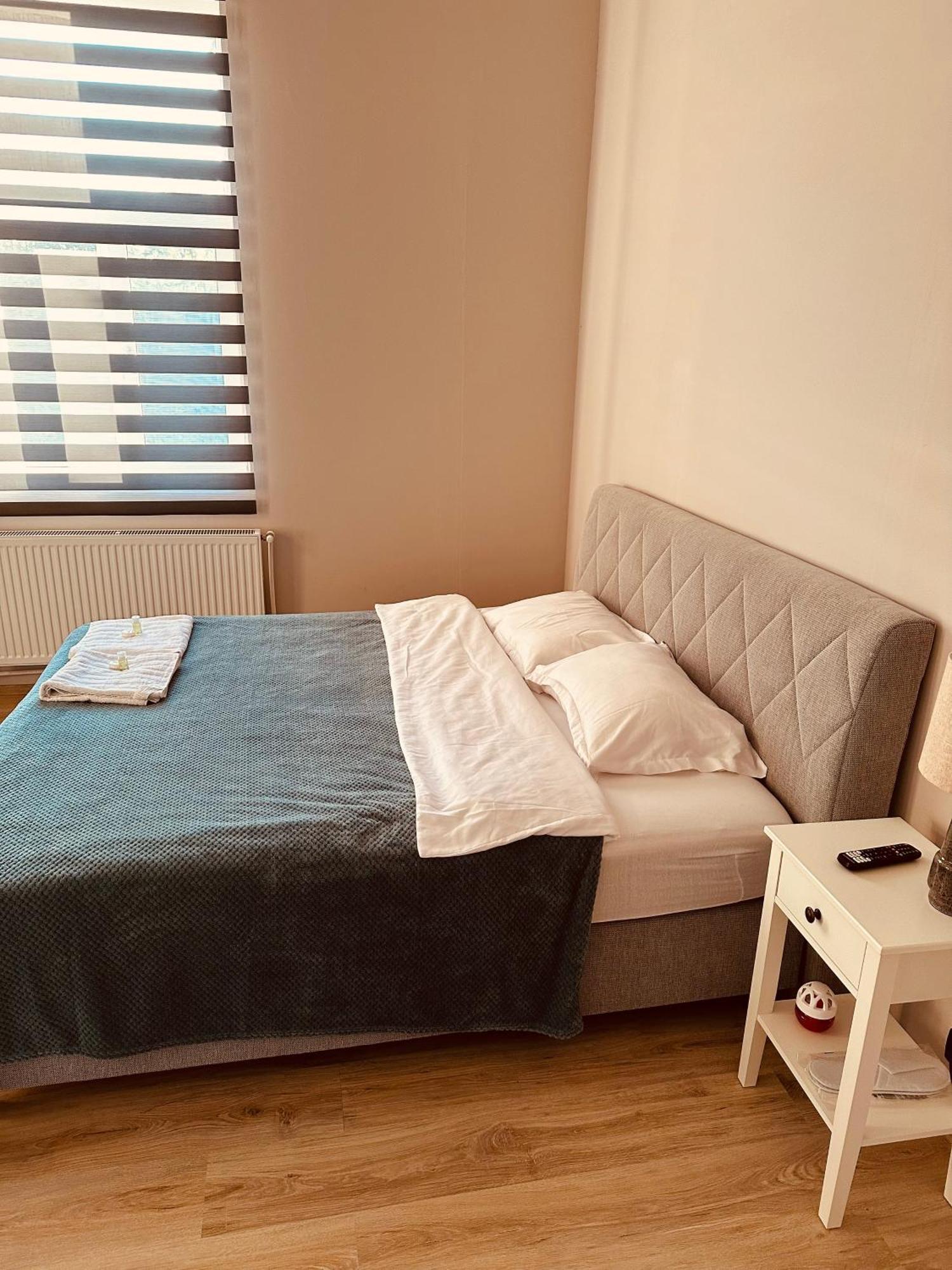 Serbian House 蒂米什瓦拉 外观 照片