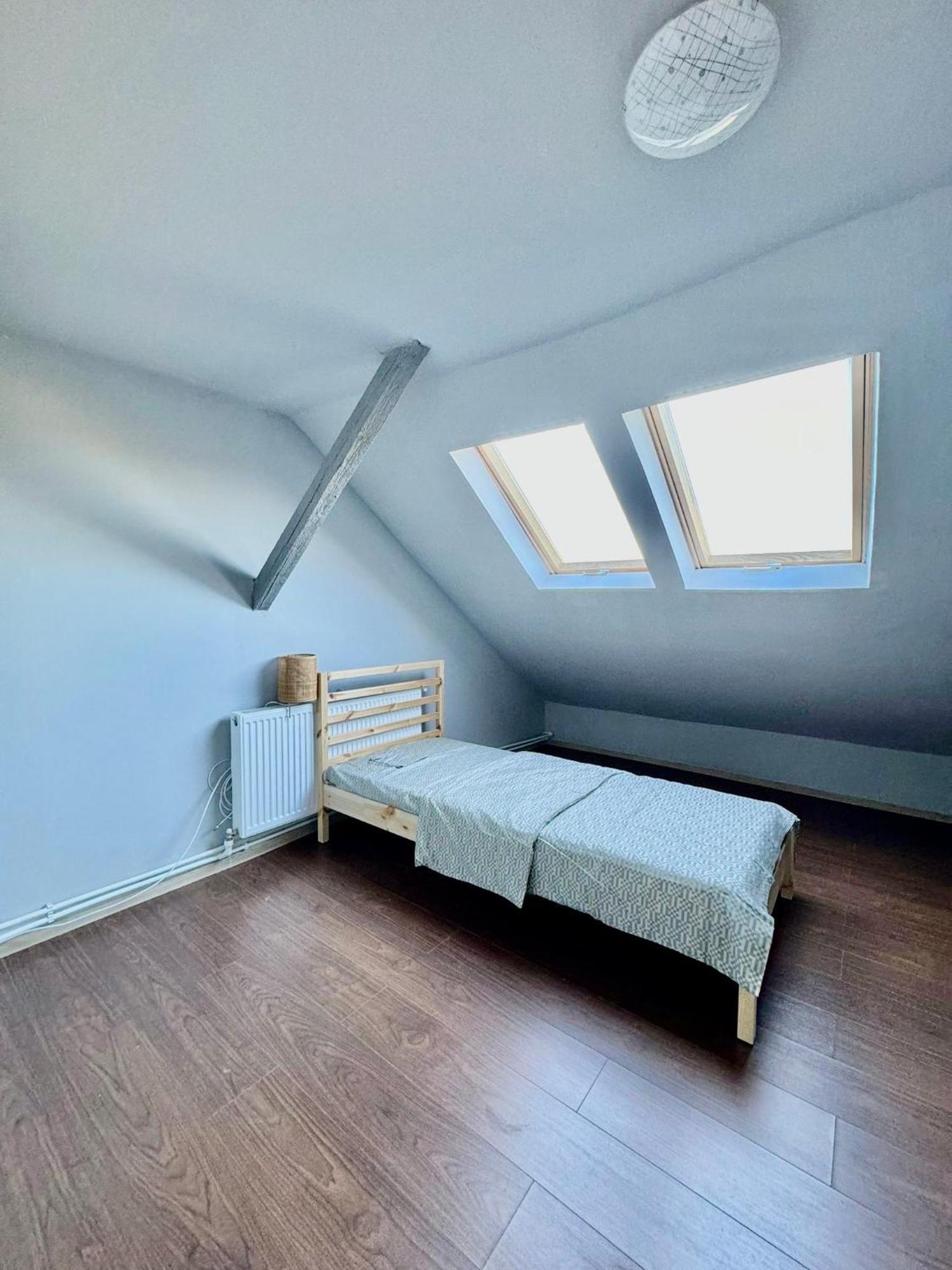 Serbian House 蒂米什瓦拉 外观 照片
