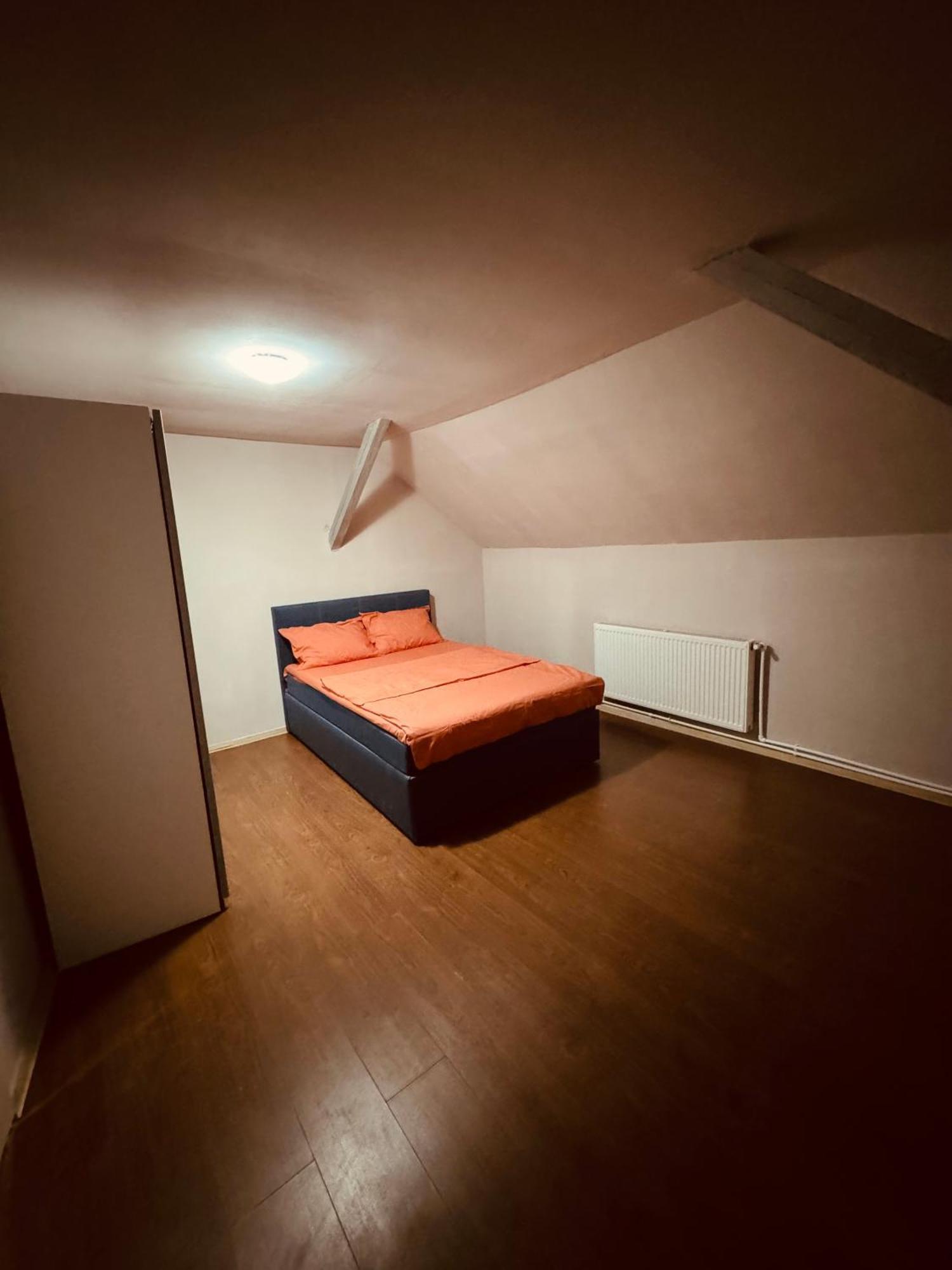 Serbian House 蒂米什瓦拉 外观 照片