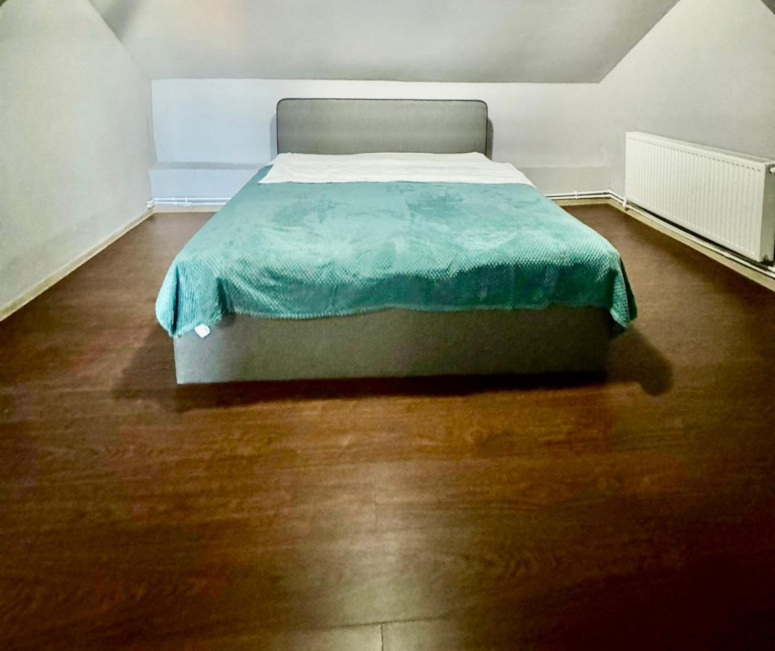 Serbian House 蒂米什瓦拉 外观 照片