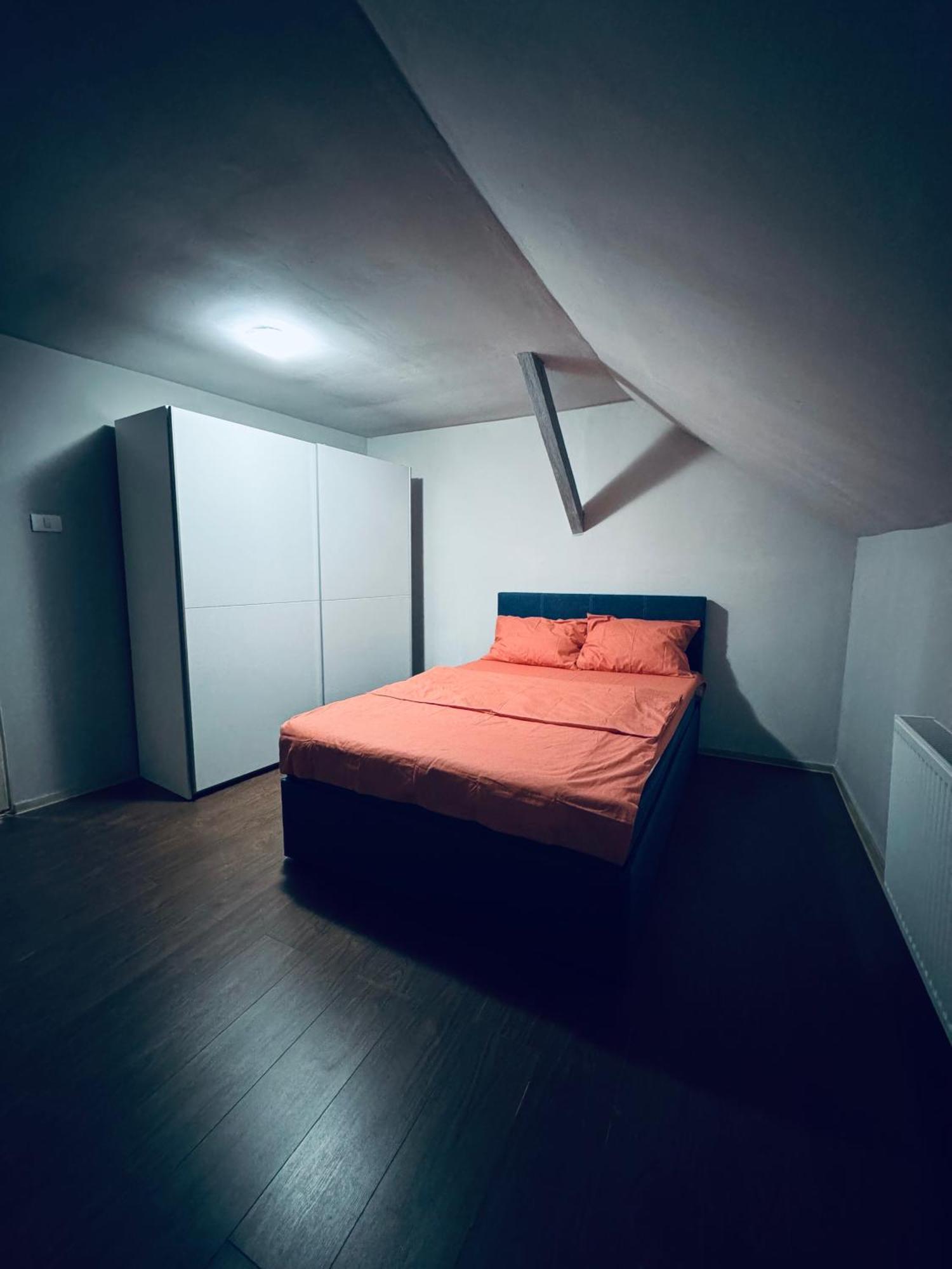 Serbian House 蒂米什瓦拉 外观 照片