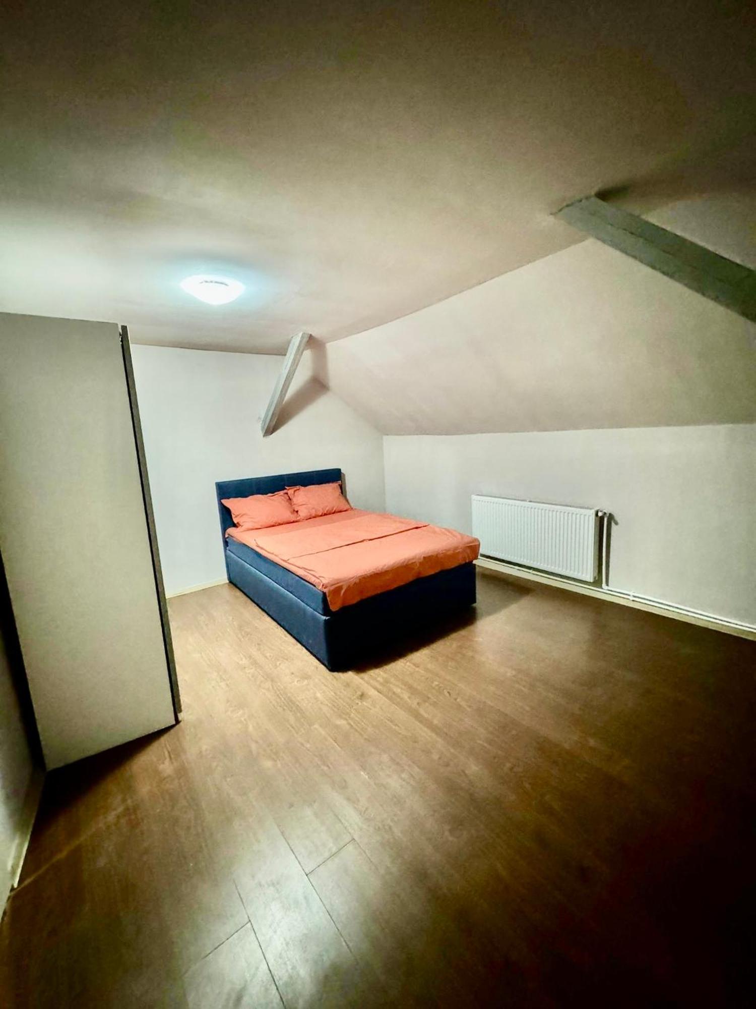 Serbian House 蒂米什瓦拉 外观 照片