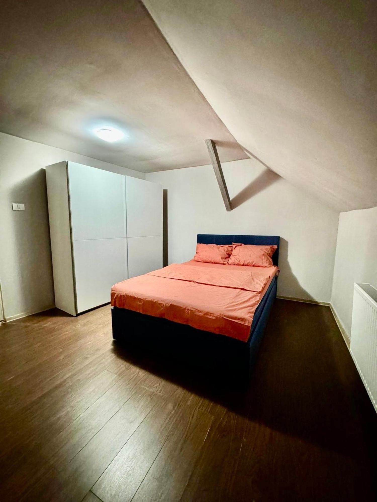 Serbian House 蒂米什瓦拉 外观 照片